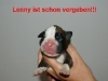 lenny