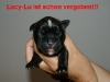lucy-lu