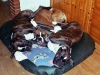 Gruppenkuscheln Gruppenkuscheln