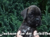 jackson